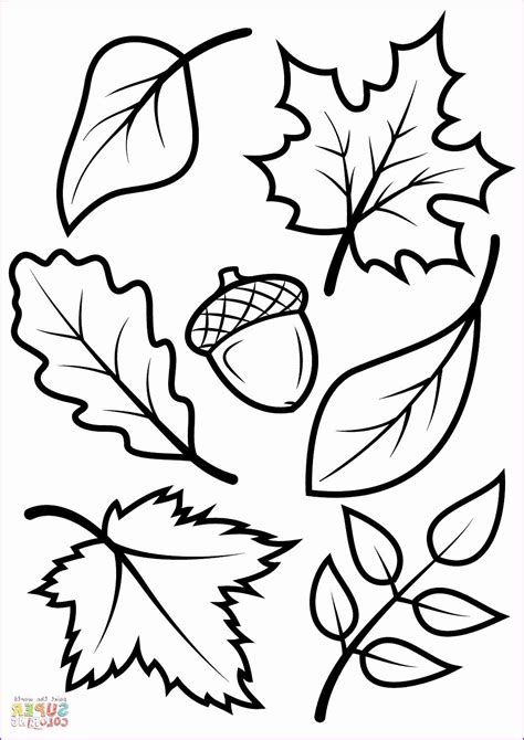 Pin by Rebecca Snyder on Pinecones in 2020 | Leaf coloring page, Fall leaves coloring pages ...