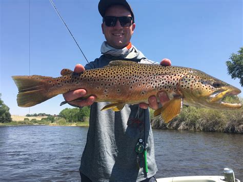 Upper North Platte River Fishing Report-Saratoga,Wyoming - High Plains Fly Fishing