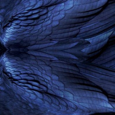 Raven Feathers Fabric | Spoonflower