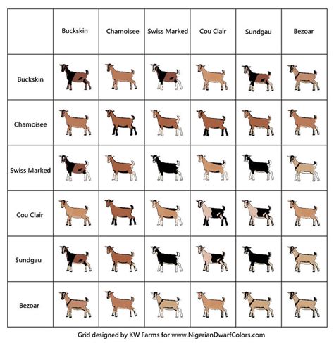 Triple R Ridge Ranch | Nigerian Dwarf Farm & Australian Cattle Dogs | Edgewood, New Mexico ...