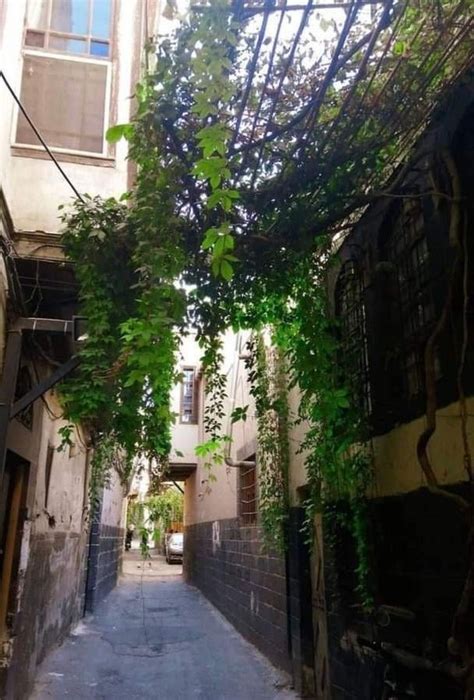 Old city of Damascus : r/pics