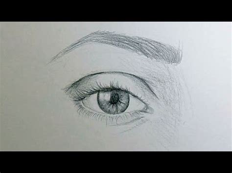 29+ Sketch Eye Anatomy Drawing PNG - Sketch