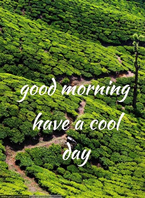 IMAGE OF GOOD MORNING HAVE A COOL DAY - Desi Comments