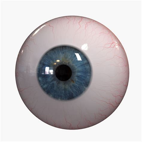 Eye Free 3D Models download - Free3D