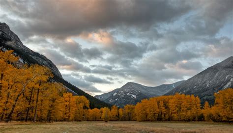 Boulder Mountains (Montana)