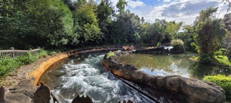 Kali River Rapids returns to operation after refurbishment | Chip and ...