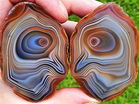 Lake Superior Agate hunting is huge in Minnesota and the upper midwest region. I cut this one ...