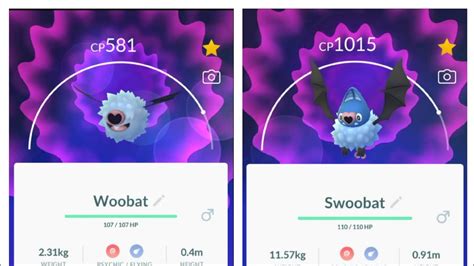 Pokemon Woobat Evolution