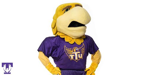 Have you met Awesome Eagle, Tennessee Tech's mascot? You'll see him at ...