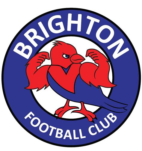 Brighton Fc