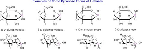 Cyclic Forms of Monosaccharides - Chemistry LibreTexts