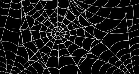 fondo vectorial de telaraña. telaraña blanca aislada en el fondo negro. decoración de arte ...