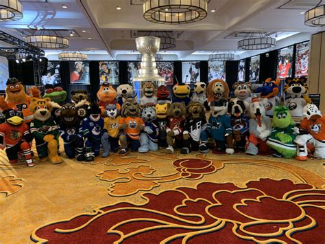 Ranking the top five current NHL mascots