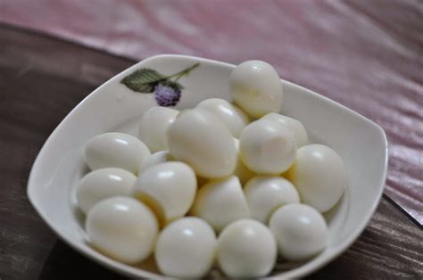 Bird In Everything: Quail Bird Eggs