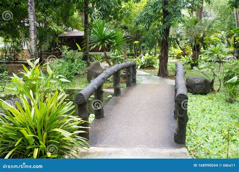 Exotic Thai Garden with Plants and Trees Asian Style Stock Photo - Image of peace, thai: 168990044