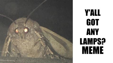 Moth Lamp Meme Brother