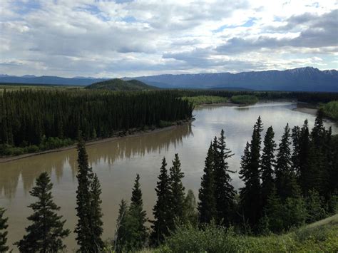 Trip report: Upper Tanana river was good for Memorial Day float ...