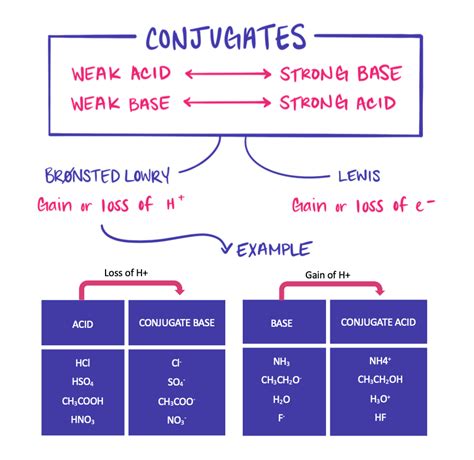 Ionic Equilibrium Class 12 Chemistry Notes - NEB Notes