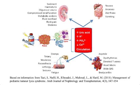 Tumor Lysis Syndrome Guidelines