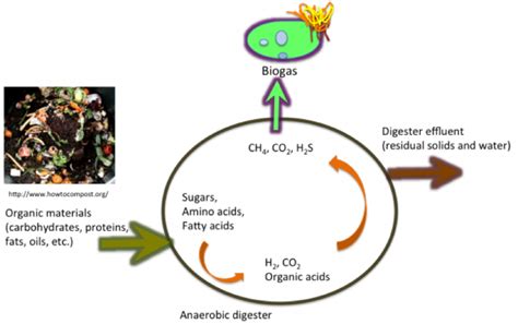 11.1 Anaerobic Digestion | EGEE 439: Alternative Fuels from Biomass Sources