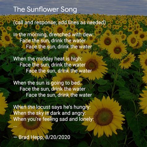 The Sunflower Song - Brad Hepp's Miscellany