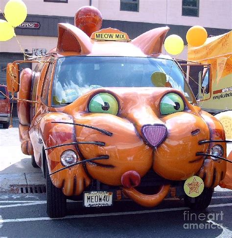 Cat Car Meow Photograph by David Karasow - Pixels