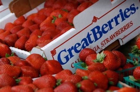 California Strawberry Festival Oxnard CA: Discounts - Activities