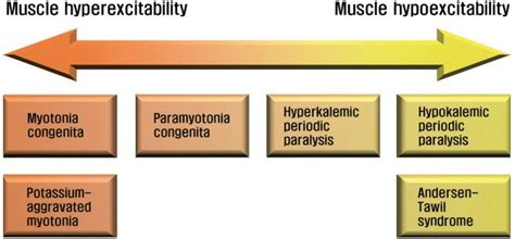 Hypokalemic periodic paralysis - MEpedia