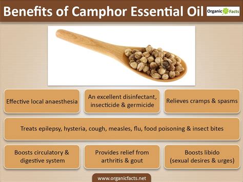 The health benefits of Camphor Essential Oil include it properties like stimulant, anti ...