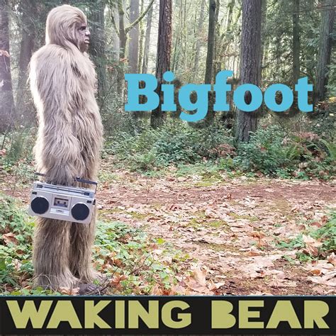 Music - Waking Bear - indie-rock band from Olympia, Washington