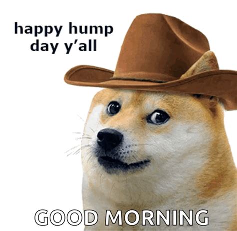 Hump Hump Day GIF - Hump Hump Day Doge - Discover & Share GIFs