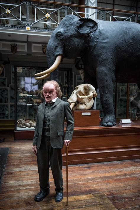 Joseph Merrick posing at the museum 3 | Joseph merrick, Elephant, Sci ...