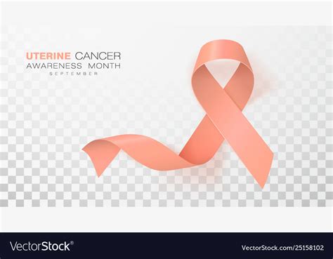 Uterine cancer awareness month peach color ribbon Vector Image