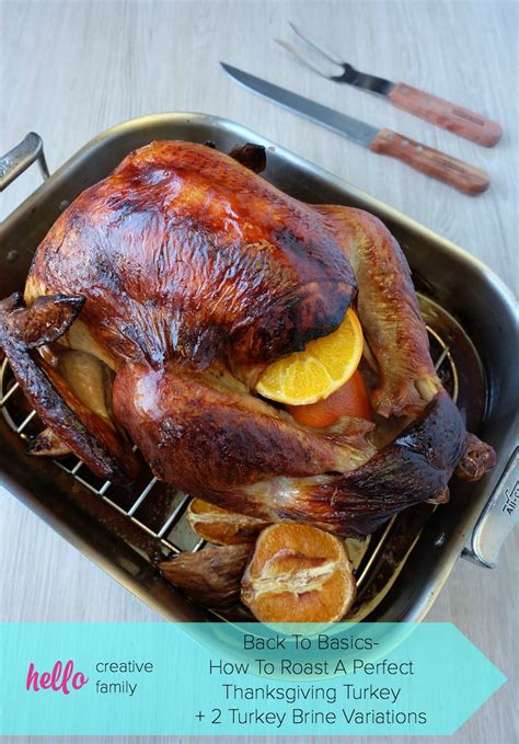 Back To Basics- How To Roast A Perfect Thanksgiving Turkey + 2 Turkey ...