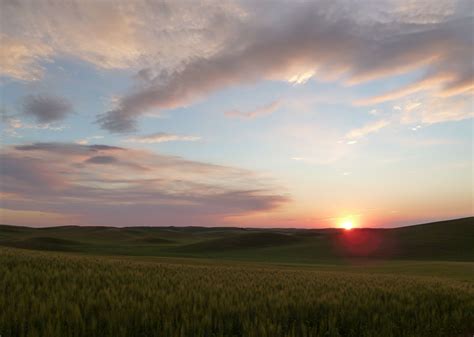 Palouse sunset (July 2010) | Palouse, Sunset, Photo