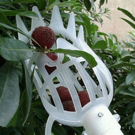 Garden Basket Fruit Picker - Not sold in stores