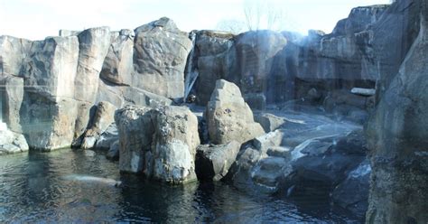 Steller Sea Lion Habitat | ALASKA.ORG