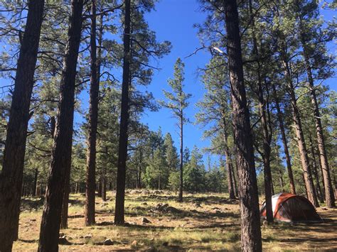 Kaibab National Forest Kaibab Lake Campground | The Dyrt