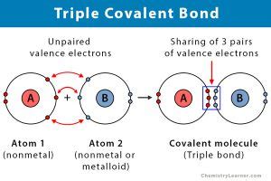 Triple Covalent Bond: Definition and Examples