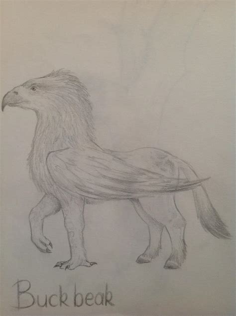 Buckbeak by AurorynDragon on DeviantArt