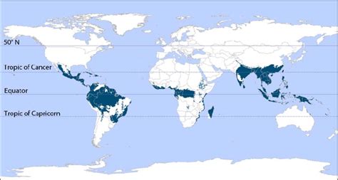 Tropical Rainforests of the World | Download Scientific Diagram