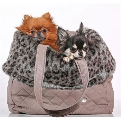 Luxury Carriers | Luxury dog carrier, Dog tote, Small dog carrier