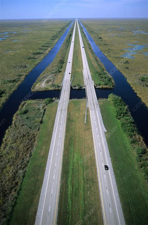 Alligator Alley, Florida - Stock Image - T602/0286 - Science Photo Library