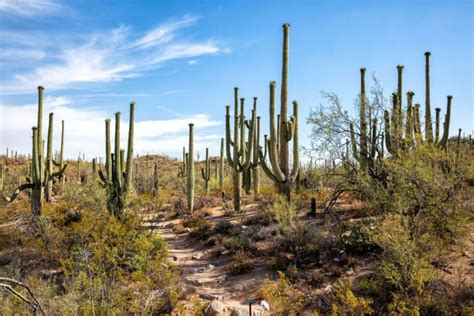 Tucson's Top 5 Parks and Recreation | Stargate West Tucson Apartments