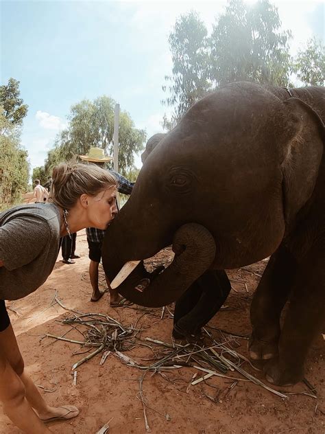 Volunteering in an elephant sanctuary in Surin, Thailand - We Are Global Travellers