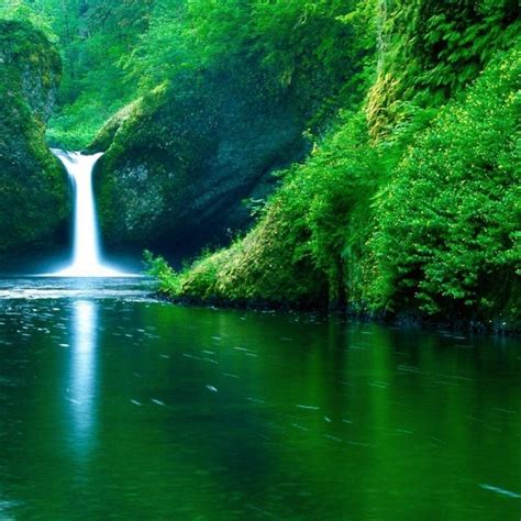 10 Best Cool Backgrounds Of Nature FULL HD 1080p For PC Desktop 2024