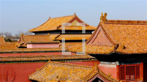 Golden roofs of forbidden city. — Photo — Lightstock