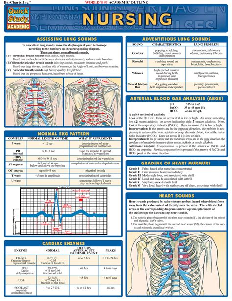 Anatomy and Physiology study guide - Anatomy & Physiology - Studocu