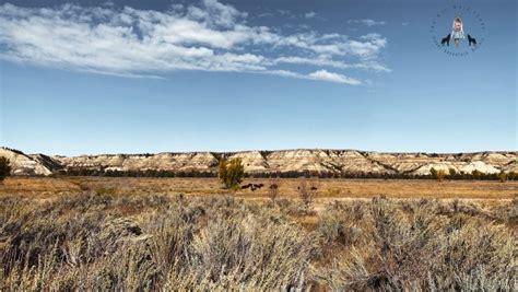 Is Theodore National Park Worth A Visit? - The Well Worn Shoes