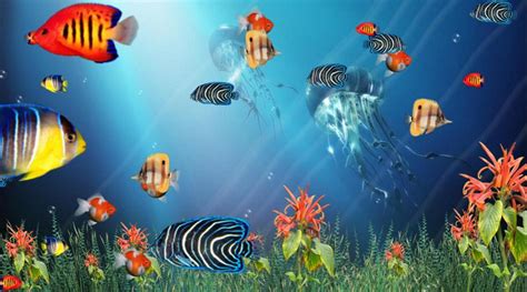 Wonderful Tropical Fish In The Ocean Aquarium 3D Screensaver